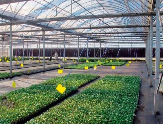 我國(guó)農(nóng)業(yè)生產(chǎn)在物聯(lián)網(wǎng)應(yīng)用方面存在的難題及解決措施