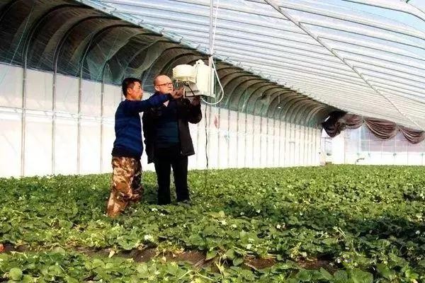 對不起，我跟著華為，辭職種地了！