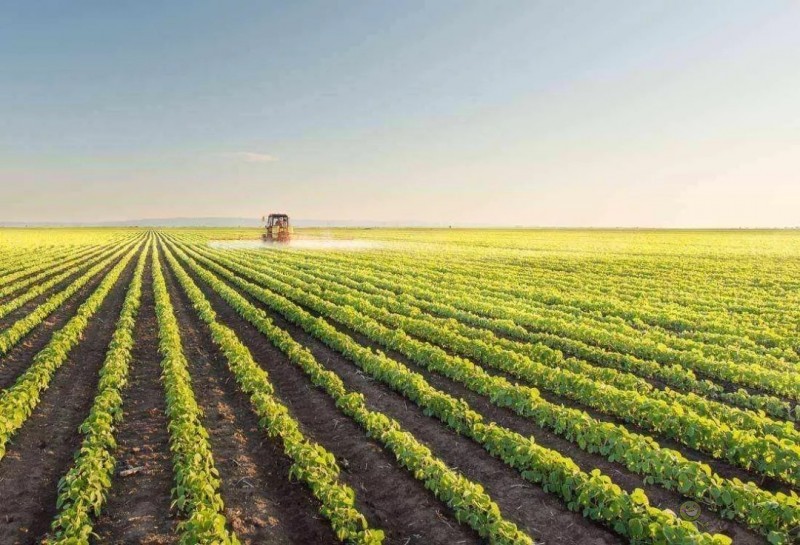 解決農產品渠道之困，才是智慧農業落地法則 