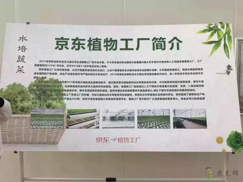 京東的這些&ldquo;網紅&rdquo;農業項目，你都知道嗎？