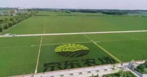 京東的這些&ldquo;網紅&rdquo;農業項目，你都知道嗎？