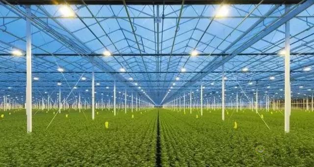 荷蘭農業(yè)值得中國學習的五大經營模式