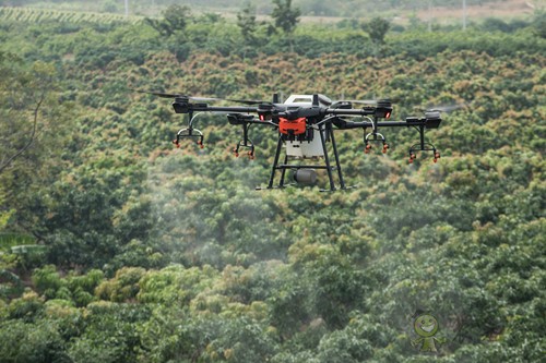 果園機(jī)械也過平安夜?