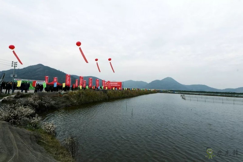 網(wǎng)易味央(三門)現(xiàn)代農(nóng)業(yè)示范園正式開工!