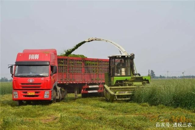 霸氣，江蘇省第一個把農業(yè)機器人納入補貼