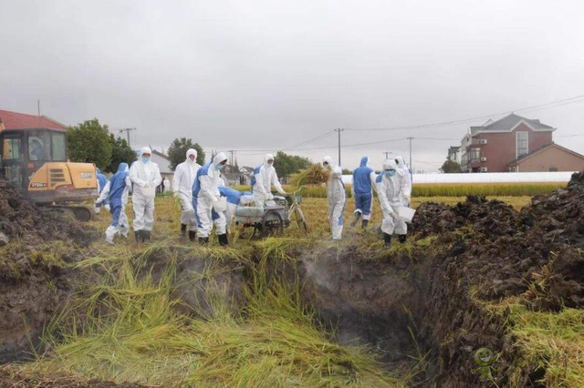 樊祥成：新冠肺炎疫情給農(nóng)業(yè)農(nóng)村發(fā)展帶來的困難只是暫時的