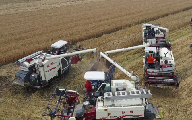 農業農村部積極協調支持湖北&ldquo;三夏&rdquo;農機作業