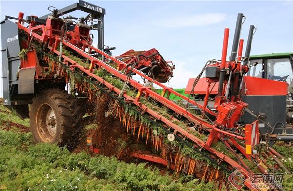 蒙自：現(xiàn)代農(nóng)業(yè)產(chǎn)業(yè)成為鄉(xiāng)村振興&ldquo;助推器&rdquo;