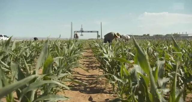 重達30噸的農業(yè)機器人