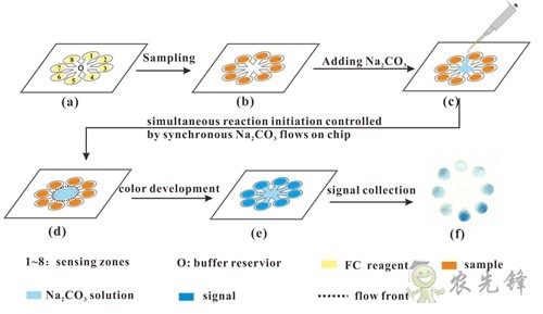 茶多酚含量有多少?這個技術10分鐘就可測出來