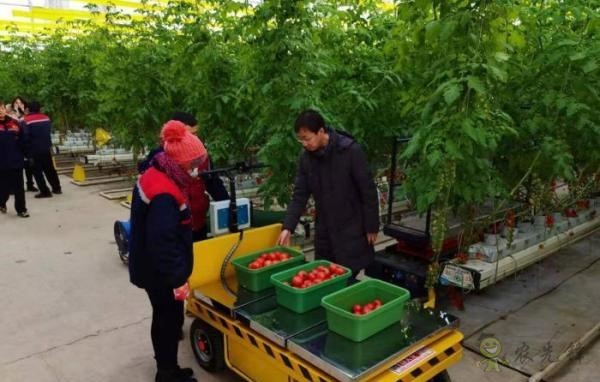 現(xiàn)代農業(yè)