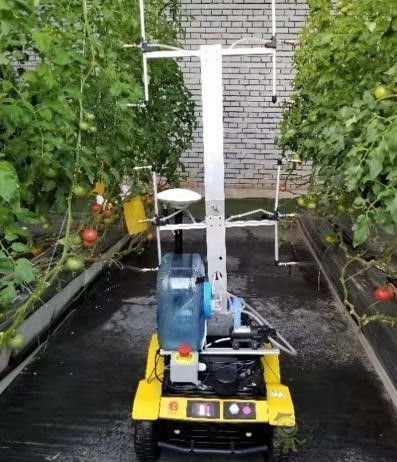 現(xiàn)代農業(yè)