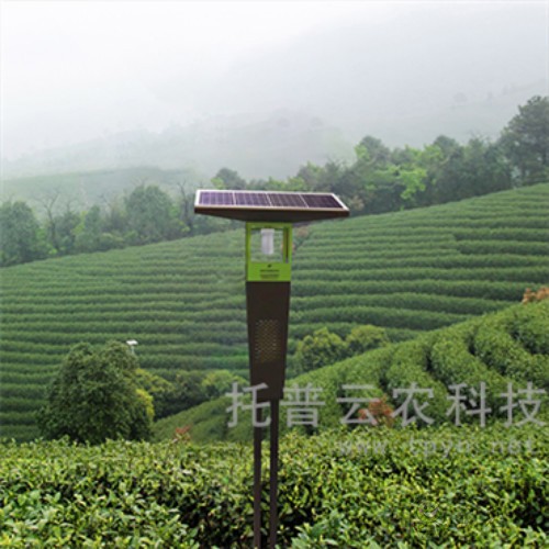 o4YBAGASUy-AXJ3bAAFns5viv5s781