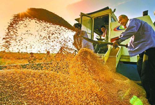 農(nóng)業(yè)展會(huì)