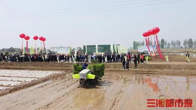 西洞庭將建萬畝智慧農(nóng)業(yè)園