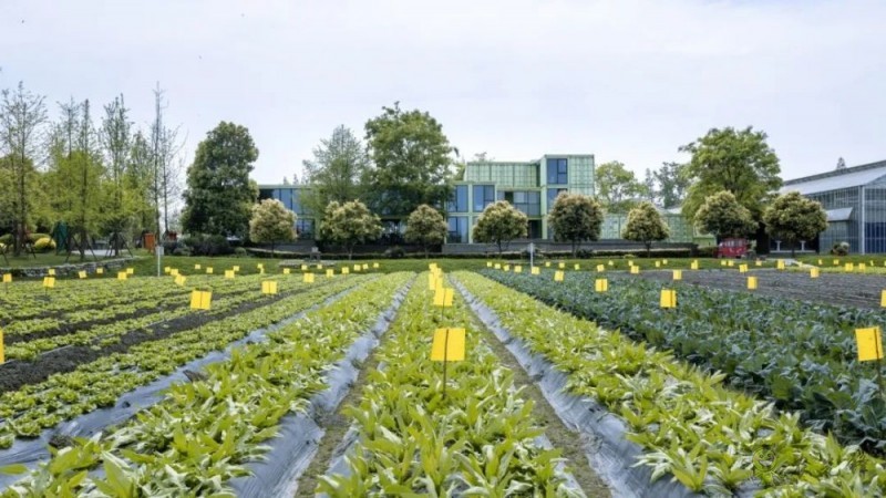 美國科學(xué)院研究報(bào)告：農(nóng)業(yè)領(lǐng)域亟待突破的五大研究方向