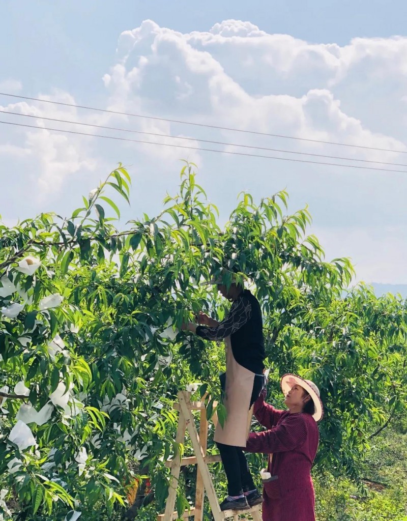 以創(chuàng)建農(nóng)業(yè)國際貿(mào)易高質(zhì)量發(fā)展基地為契機(jī)——推動中國農(nóng)業(yè)國際合作邁向新高度