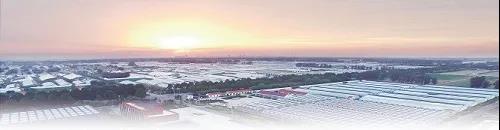 ?鄉村振興，壽光答卷