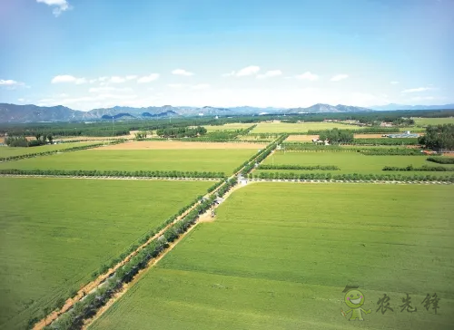 北京市率先從省級層面全面推行&ldquo;田長制&rdquo;&mdash;&mdash;四級田長共護首都耕地