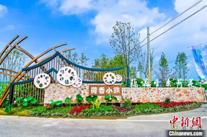 肥西：以&ldquo;荷&rdquo;為媒 打造鄉(xiāng)村生態(tài)旅游產(chǎn)業(yè)