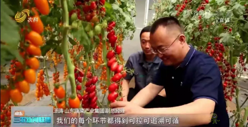 &ldquo;壽光標準&rdquo;向全國輸出 推動蔬菜產(chǎn)業(yè)提檔升級