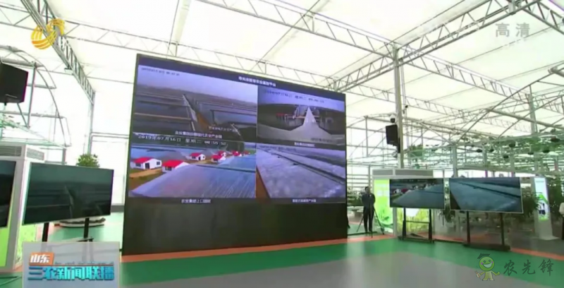 &ldquo;壽光標準&rdquo;向全國輸出 推動蔬菜產(chǎn)業(yè)提檔升級