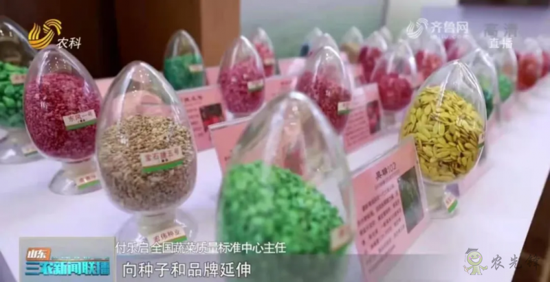 &ldquo;壽光標準&rdquo;向全國輸出 推動蔬菜產(chǎn)業(yè)提檔升級