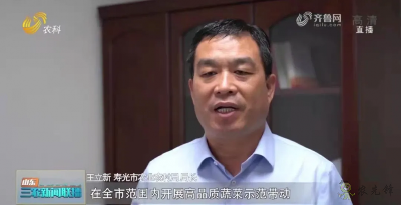 &ldquo;壽光標準&rdquo;向全國輸出 推動蔬菜產(chǎn)業(yè)提檔升級