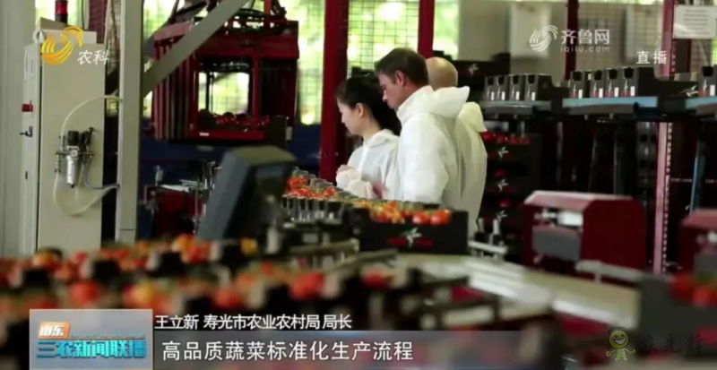 &ldquo;壽光標準&rdquo;向全國輸出 推動蔬菜產(chǎn)業(yè)提檔升級