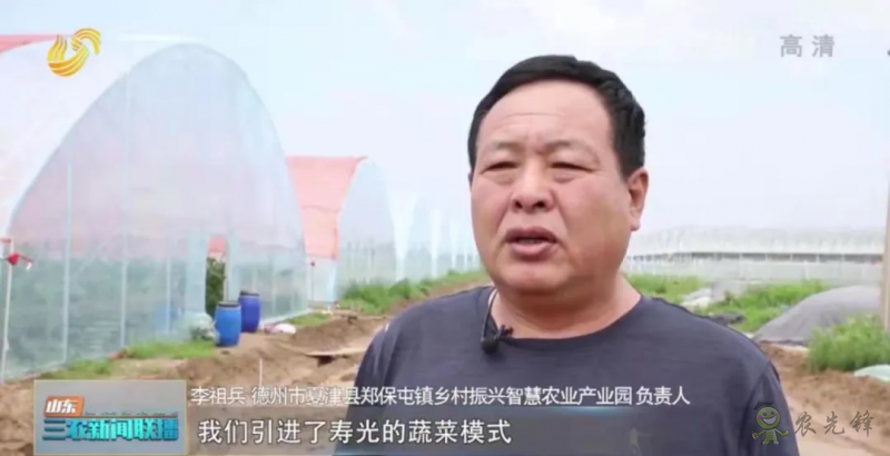 &ldquo;壽光標準&rdquo;向全國輸出 推動蔬菜產(chǎn)業(yè)提檔升級