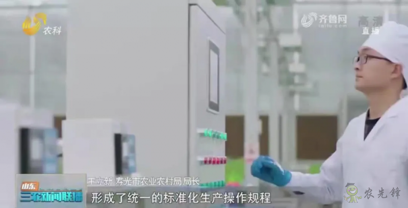 &ldquo;壽光標準&rdquo;向全國輸出 推動蔬菜產(chǎn)業(yè)提檔升級