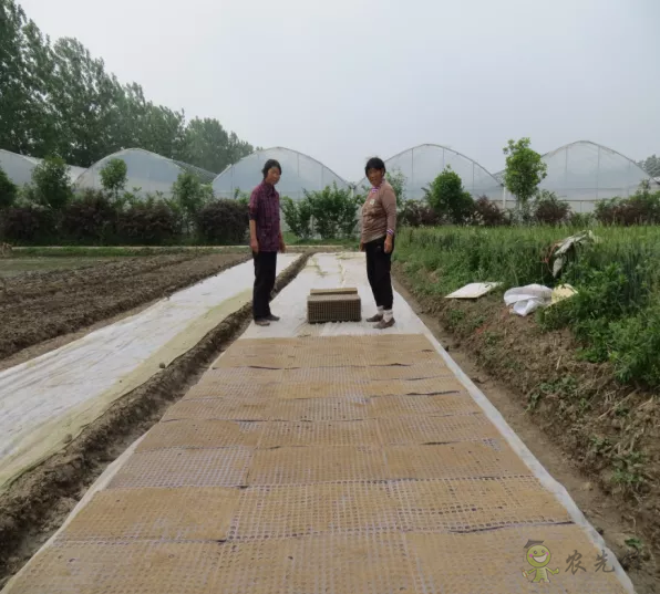 2021年農(nóng)業(yè)農(nóng)村部重大引領(lǐng)性技術(shù)發(fā)布！