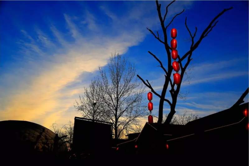 當代中國農(nóng)業(yè)轉型技術選擇之爭:化學化？轉基因？