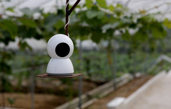 8大農業產業崛起,未來或將成為投資重點