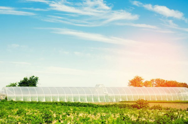 中國未來農(nóng)業(yè)發(fā)展前景分析：五大趨勢蘊(yùn)含無限潛力