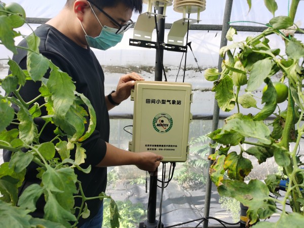 塑料大棚&ldquo;智能化&rdquo;，北京開展高效設施農業用地試點
