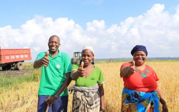 &ldquo;中國農(nóng)技&rdquo;&ldquo;中國農(nóng)機&rdquo;&ldquo;中國農(nóng)場&rdquo;助力非洲農(nóng)業(yè)發(fā)展