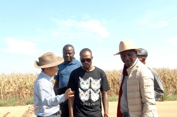 &ldquo;中國農(nóng)技&rdquo;&ldquo;中國農(nóng)機&rdquo;&ldquo;中國農(nóng)場&rdquo;助力非洲農(nóng)業(yè)發(fā)展