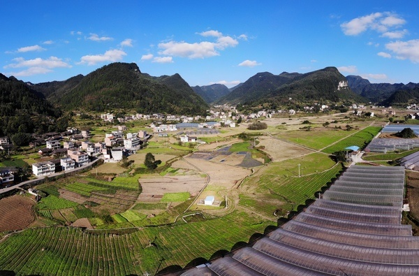 習水這五年：現(xiàn)代農(nóng)業(yè)助推鄉(xiāng)村振興