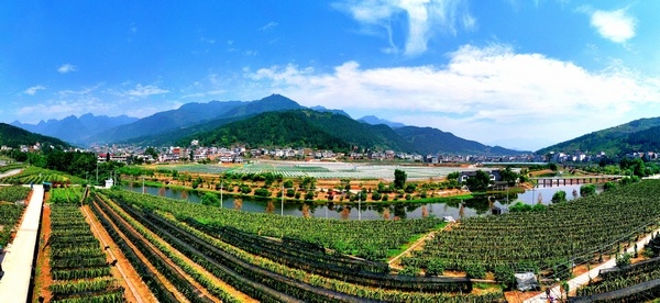 習水這五年：現(xiàn)代農(nóng)業(yè)助推鄉(xiāng)村振興