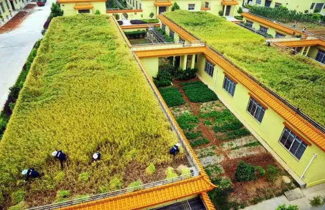 做農業，這幾種高效生態農業模式你必須知道