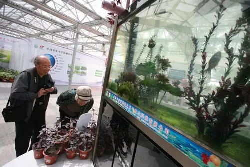 做農業，這幾種高效生態農業模式你必須知道