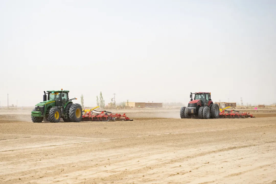 超級棉田喜獲豐收,極飛科技打造鄉村振興新樣本