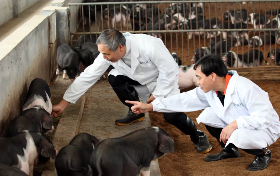 寧鄉：新型職業農民成為令人羨慕的&ldquo;綠領&rdquo;