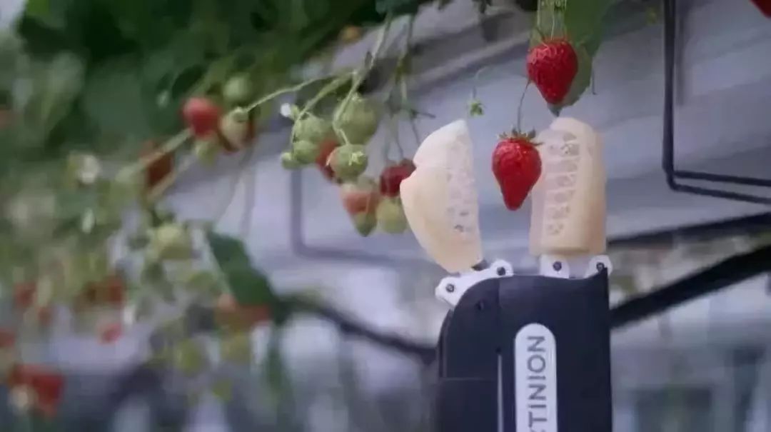 采摘機(jī)器人