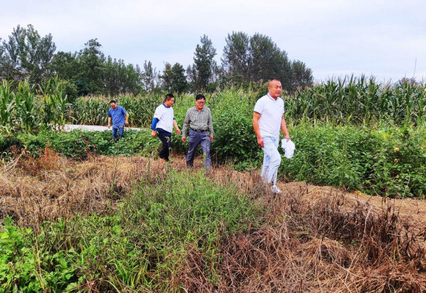 國(guó)家加大農(nóng)業(yè)獎(jiǎng)補(bǔ)力度,對(duì)農(nóng)民種糧是個(gè)好消息,2022年該如何調(diào)整