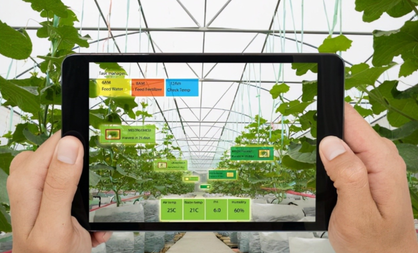 農業物聯網是什么？對農業的好處到底在哪里？