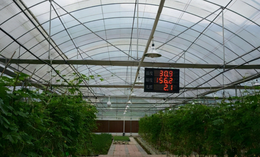 農業物聯網是什么？對農業的好處到底在哪里？