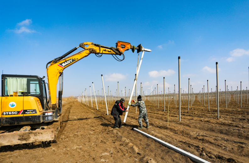 臨港區(qū)：智慧農(nóng)業(yè)不簡單，&ldquo;玩手機&rdquo;就能種好地