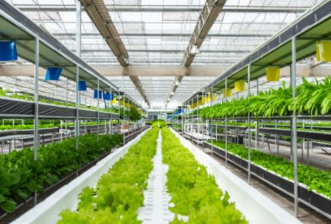 政策：國家支持設(shè)施農(nóng)業(yè)合法用地；雨潤控股：負(fù)債超過1000億元